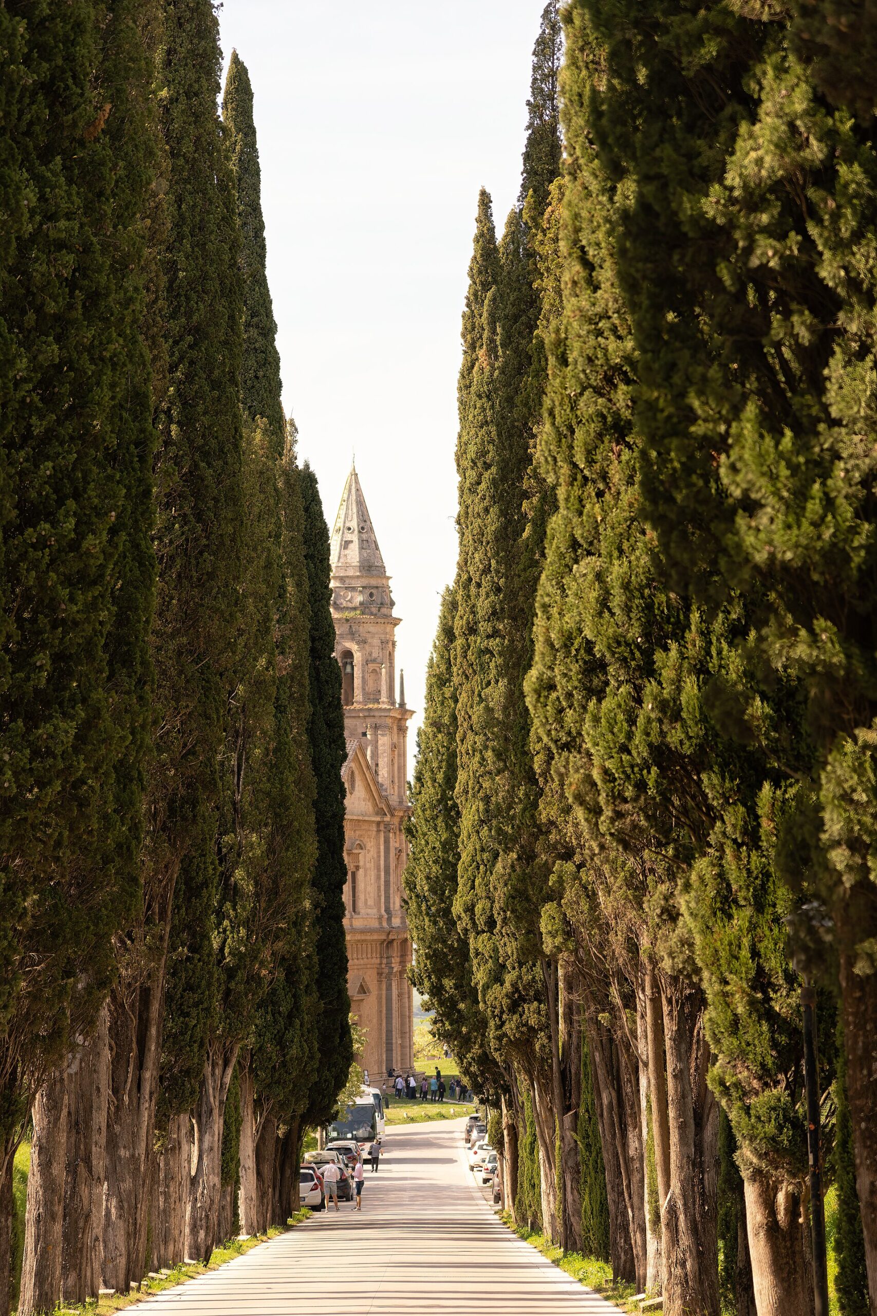 Route bordée de cyprès en Toscane, Italie