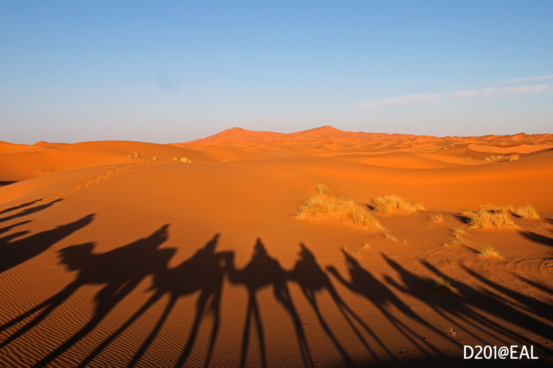 Dunes du Sahara, Maroc