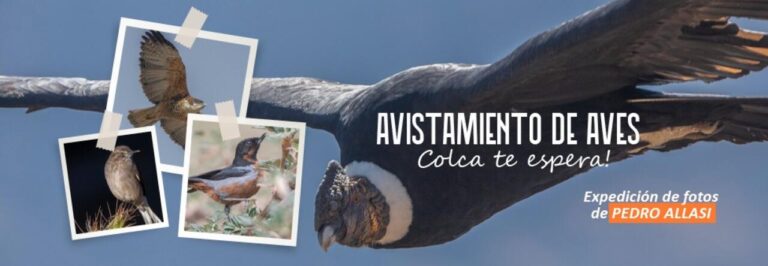 La Granja del Colca