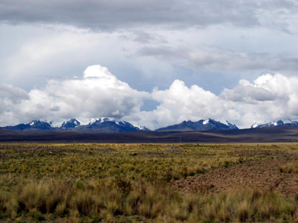 Hauts plateaux de l'altiplano andin, Pérou